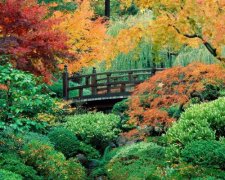 ����(To Autumn)